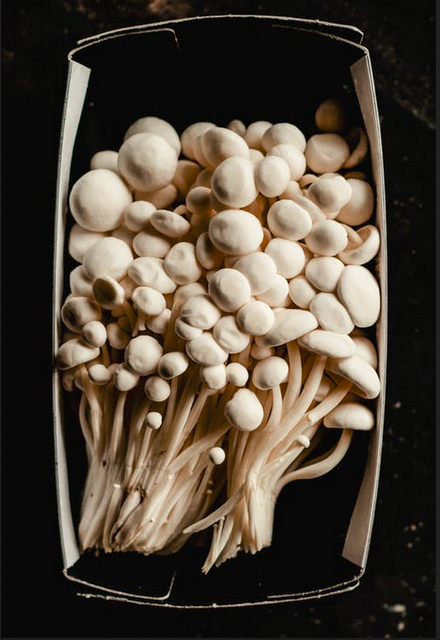 Manfaat Jamur Enoki bagi Kesehatan